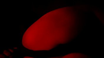 Chubby Mexican Sur Duck In Big White Dick