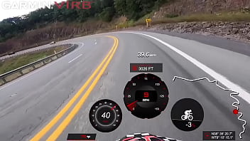 Lunatic Asylum : Suck My Balls Special Mission