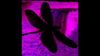 Dark Lantern Entertainment Presents _the Dragonfly_ Scene 4 Pt.2