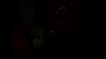 Sucking In The Dark