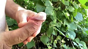 Public Official Stolen Phone With Leaked Masturbation Video