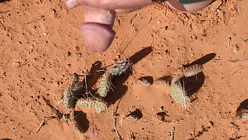 Renewing My Membership In The Cactus Lover’ Club