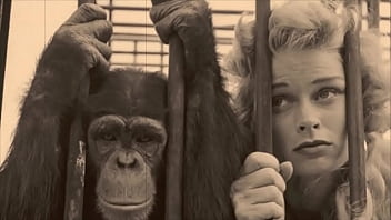 Vintage Taboo, Pussy _ Pooch – doggystyle, hairy, retro, vintage, k9, hairy-pussy, natural-tits, equus, podofilia – Video 1322316