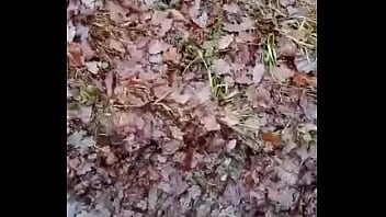 Dripping Yummie Cock