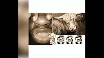 His Impersonation Of A Cow