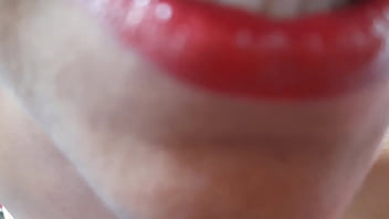 Verificação – pantera, verification-video, verificacao – Video 1256920