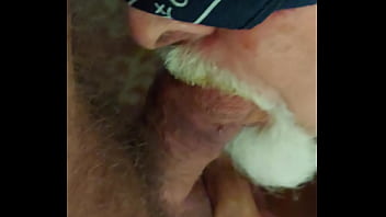 Pig Feeding Few More Loads