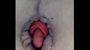 Fisting, Gay, Insertion, Bisexual, Gaping-ass, Stretch, Casero, Prolapse, Pussy-ass, Rosebutt, Prola – Gay – 2025 – Passionate – Show – Video 1201351