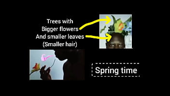 Music From Different Seasons