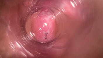 Please, Cum Inside My Pussy... Dirty Talk And Hot Pussy Spreading And Internal Camera (dirty Talk #4)