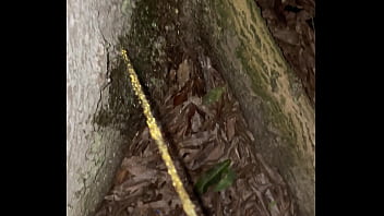 Pissing On A Tree After The Club!