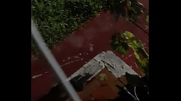 Yahoo Gave Me Forest Druid