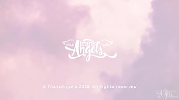 Midnight Pussy / Transangels / Download Full From