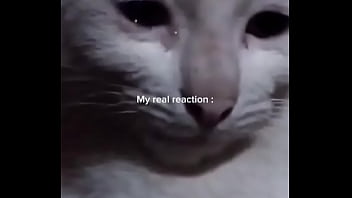 Nosé Que Hago Con Mi Vida, Aveces Solo Quiero Desaparecer.