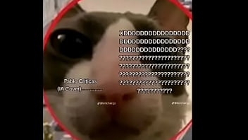 Humor, Memes, Shitpost – Unknown – 2025 – Hot – Experience – Video 875903