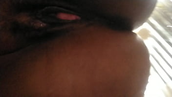 Latinnn – Put, Zorra, Envi, Cerda – Unknown – 2025 – Hot – Performance – Video 859523