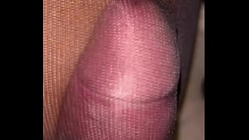 Alikat2 Cock In Pantyhose