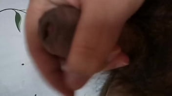 11 – Verification-video – Unknown – 2025 – Wild – Session – Video 855235