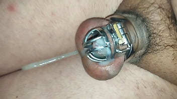 Sissydaniela Busco Amo – masturbation, sissy, chastity, viniendose, puto, maricon, amos, expoced, castidad, castidad-permanen – Video 748109