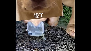 Jake – Verification-video, 视频验证 – Unknown – 2025 – Amazing – Show – Video 846724