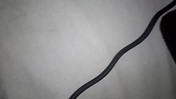 Verification Video – verification-video – Video 820235