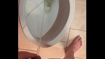 Pissing In Toilet – cock, hairy, solo, dick, pissing, piss, watersports, soloboy – Video 820662