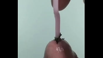 Castigo Uretral Con Pimienta