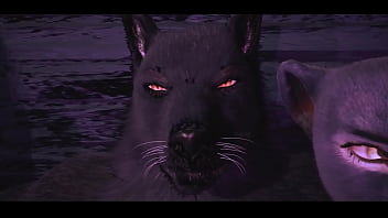 Spotlight. – A Furry Encounter