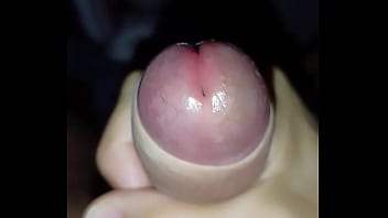 Capullo Primer Plano