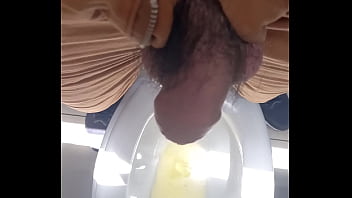 Marcello Maecello – Mijo, Mijando, Mijao, Peludo-pentelhudo – Unknown – 2025 – Wild – Performance – Video 765889