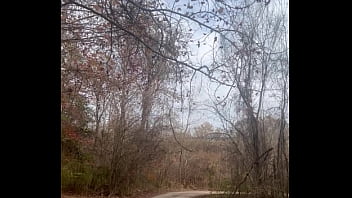 Walk In Forest Part 1