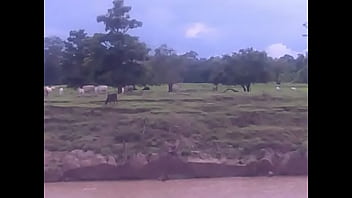 Unknown – 2025 – Incredible – Session – Video 6567659