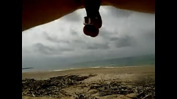 Fox, A Day At The Sea