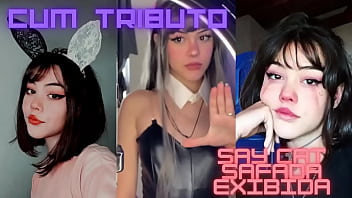 Vídeo De Verificação – verification-video – Video 647312