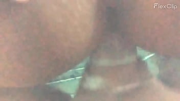 Cavalo Comedor E égua No Cio 1