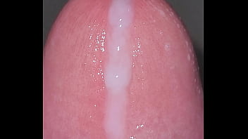 Cum Star – Cum, Punheta, Gozando, 4k – Bukkake – 2025 – Incredible – Experience – Video 483466