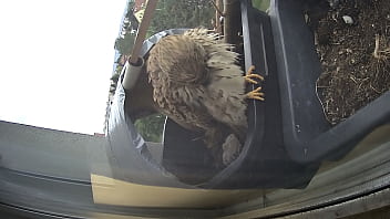 Máňa And The Offsprings