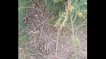 Orinando En Terraceria