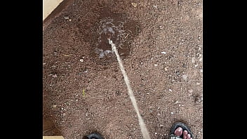 Pissing In The Back Yard – pee-in-yard, backyard-pee, peeing-in-backyard, pee-in-backyard – Video 467340