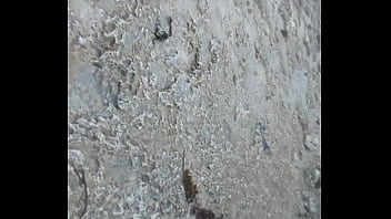 T Back11 – Rain, Heavy – Unknown – 2025 – Sexy – Session – Video 357686