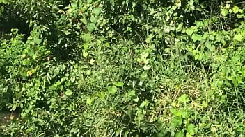 House Under Brian’ Poa