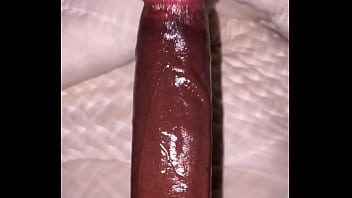Dotado Se Masturbando – big-tits, luanda, masturbando, black-dick, black-cock, masturbacao, angola, bid-dick, angolano, pau- – Video 37878