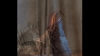 Wild Masturbation