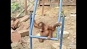 Sad, Mono – Unknown – 2025 – Amazing – Experience – Video 16890