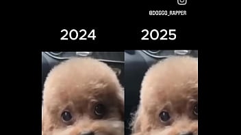 Creampie, Asiatica – Creampie – 2025 – Intense – Experience – Video 17323