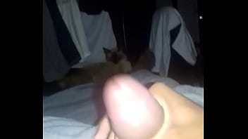 Vídeo De Verificação – verification-video – Video 12400