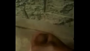 Otro Tributo Para La Zorra De Artemisa