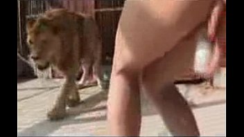 Fucking Near A Lion